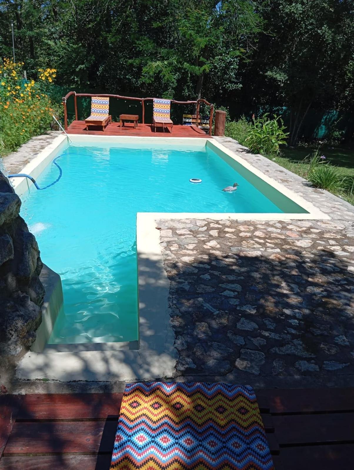 Villa La Isolina Villa Giardino Extérieur photo