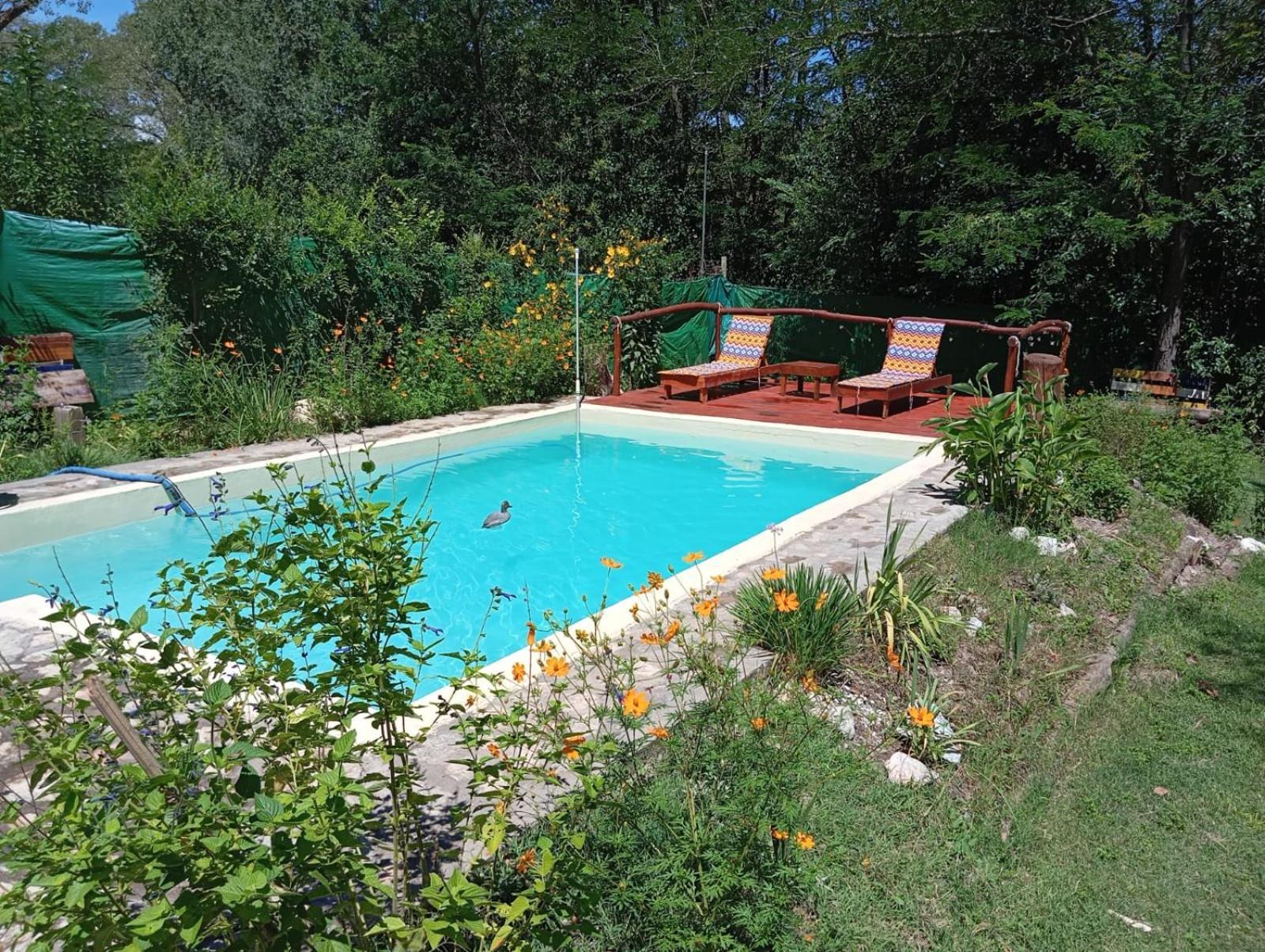 Villa La Isolina Villa Giardino Extérieur photo